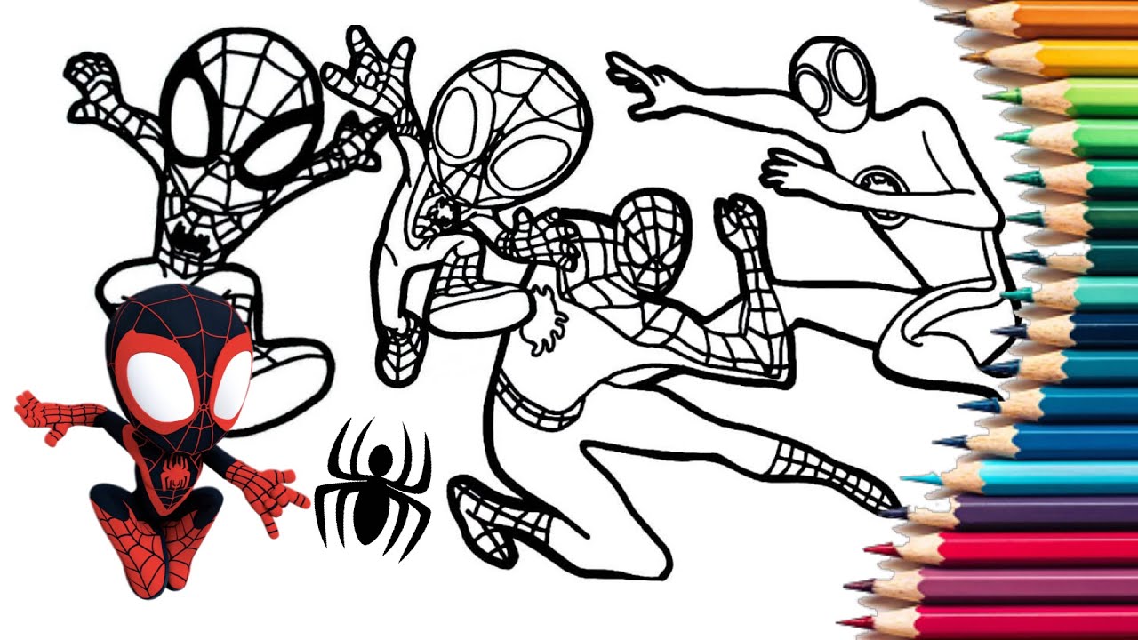 Spider
