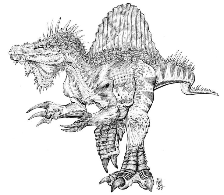Pin by dominic shoblo on coloring pages animal coloring pages dinosaur coloring pages spinosaurus