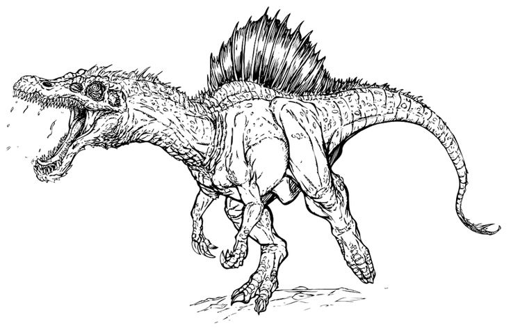 Printable coloring pages dinosaur coloring pages spinosaurus dinosaur coloring