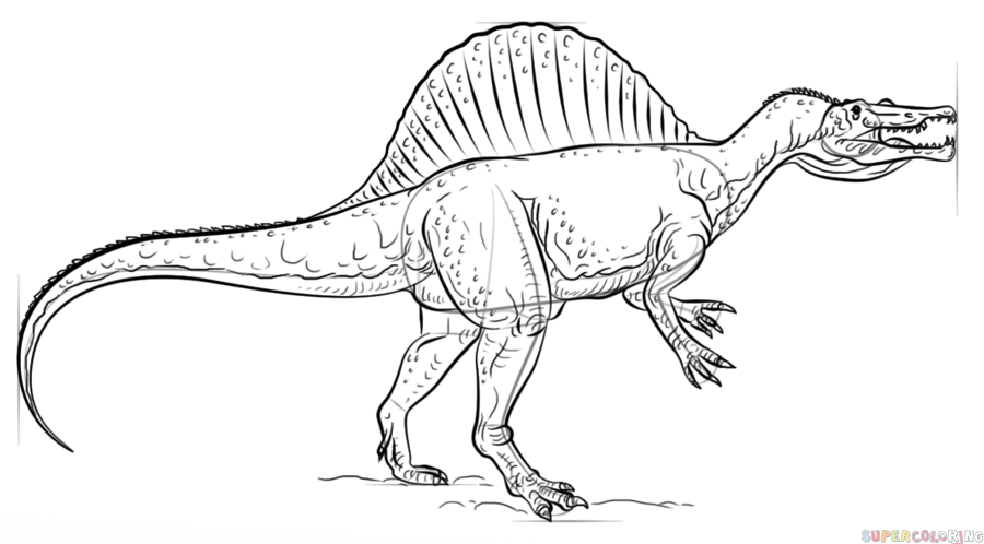 How to draw a spinosaurus step by step drawing tutorials