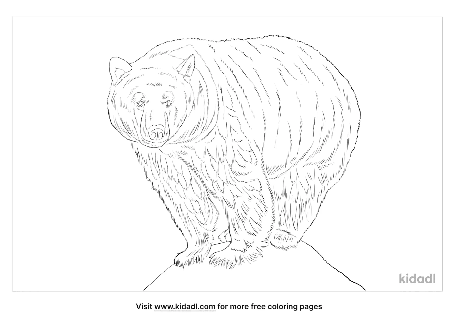 Free spirit bear coloring page coloring page printables