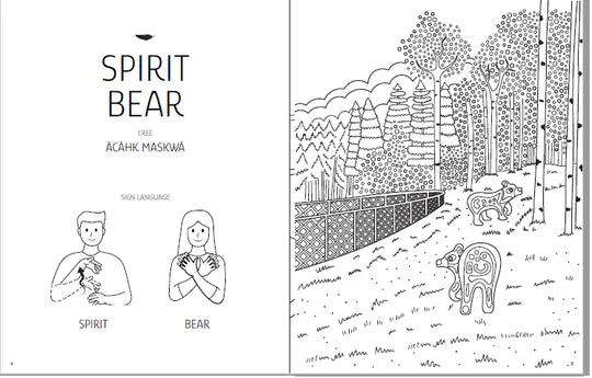 Colouring book
