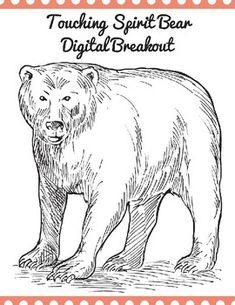 Tsb ideas touching spirit bear spirit bear novel studies