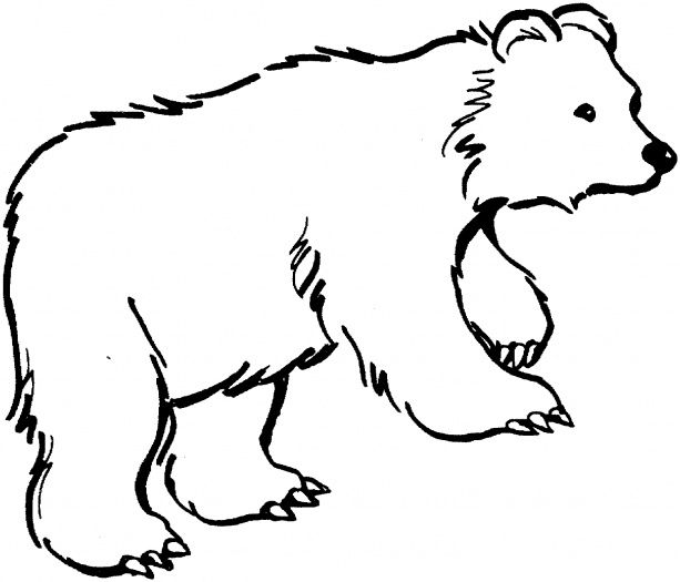 Page brown bear brown bear book for open house bear coloring pages polar bear coloring page animal outline