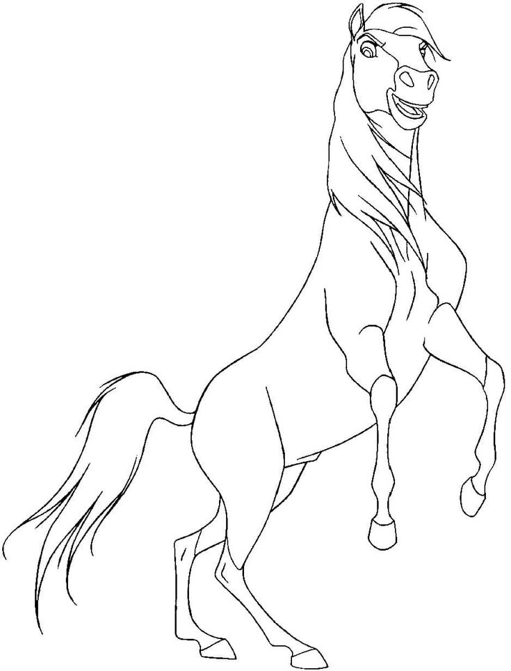 Resultado de imãgenes de google para httpsraskrasilwp