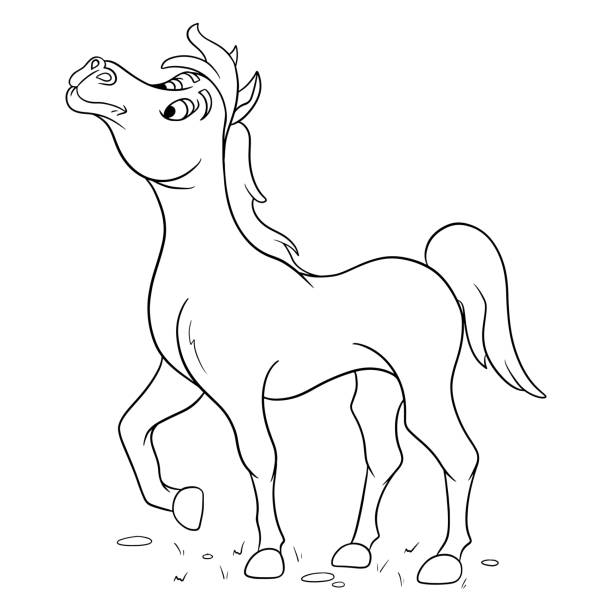Animal character funny horse in line style coloring book stock illustration