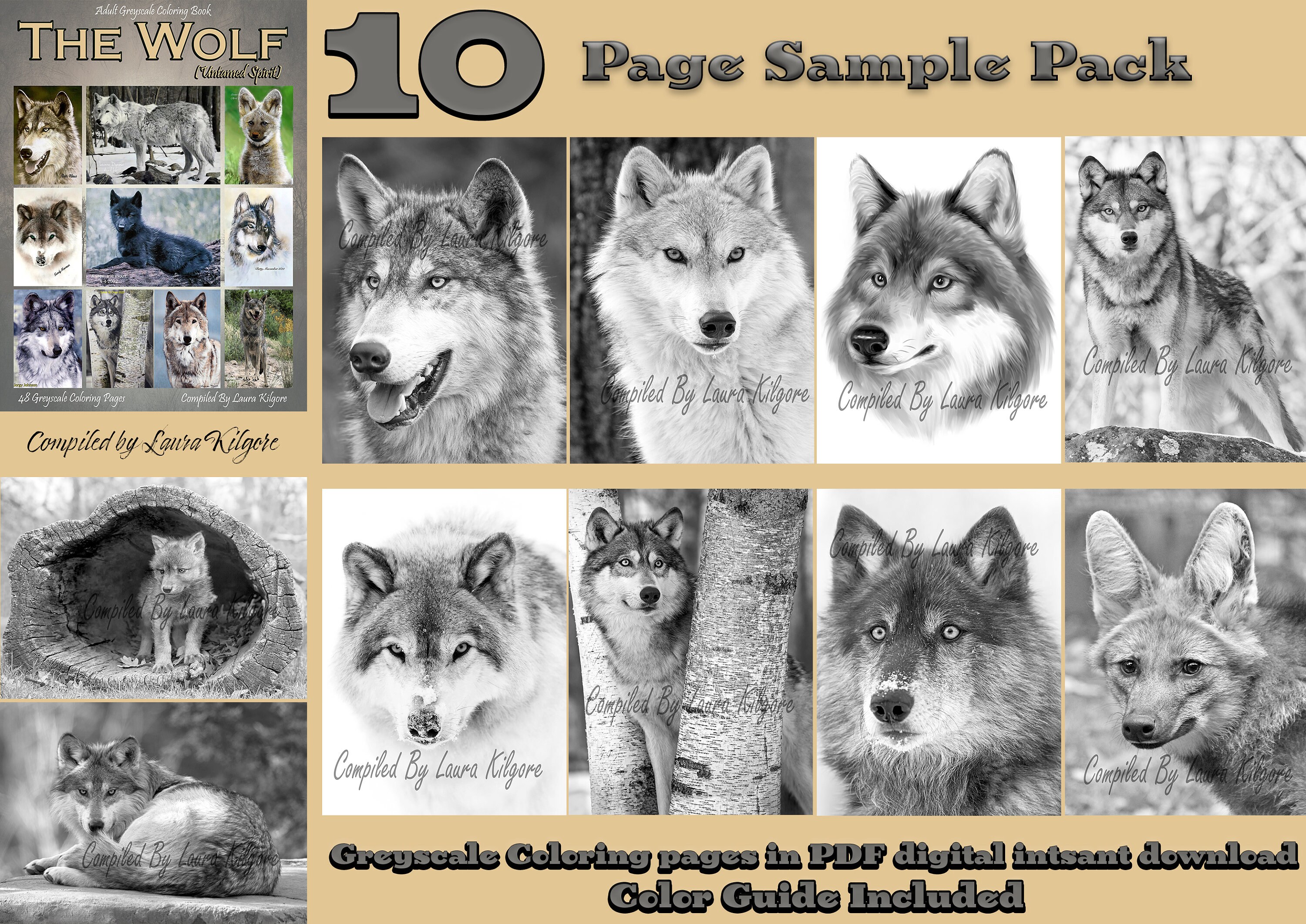 The wolf untamed spirit adult coloring book page coloring sampler pack high resolution x instant download printable pdf