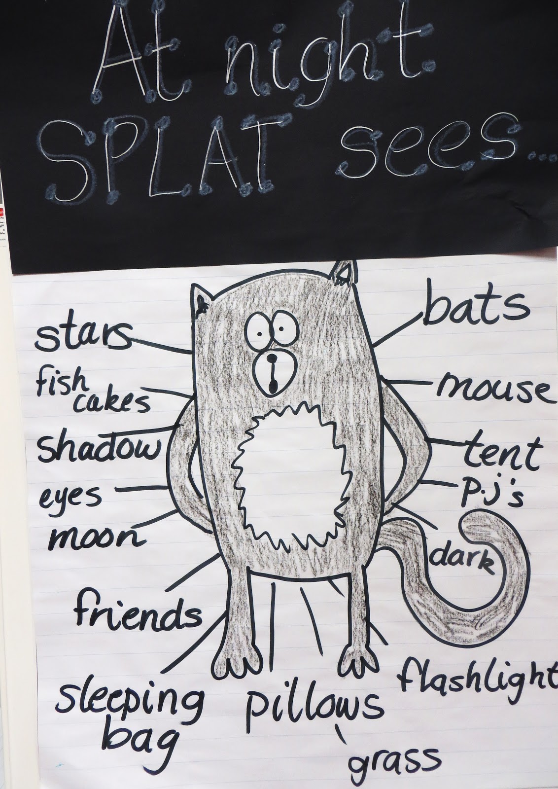 First grade wow splat the cat helps us observe the night sky