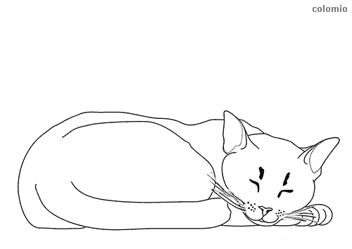 Cats coloring pages free printable cat coloring sheets