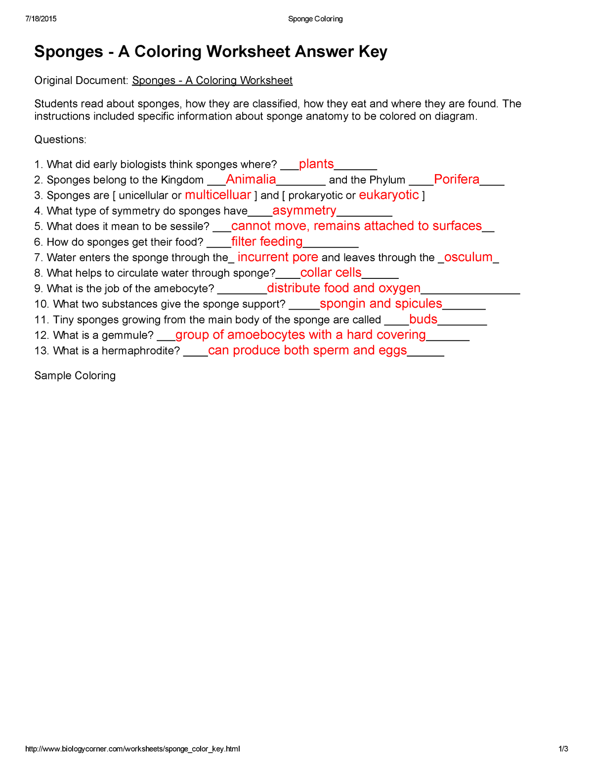 Sponge coloring worksheet
