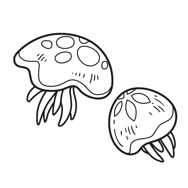 Premium vector two jellyfishes with tentacles outlined for coloring page isolated on white background