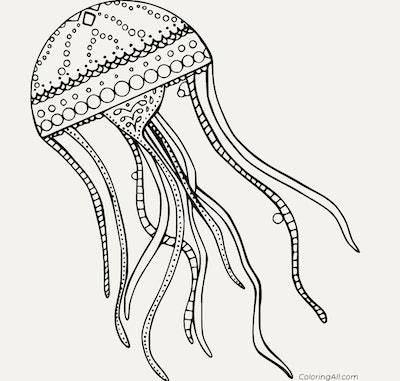 Jellyfish coloring pages