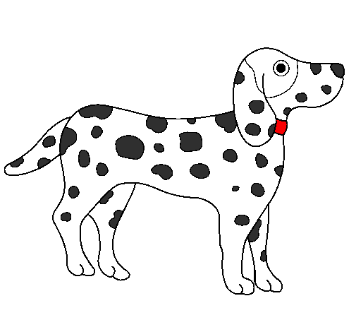 Colored page dalmatian painted by grady rose spot