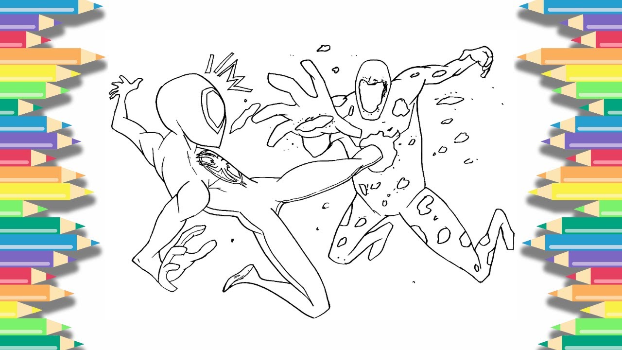 Spider