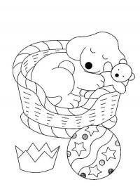 Spot puppy coloring pages free coloring pages to print