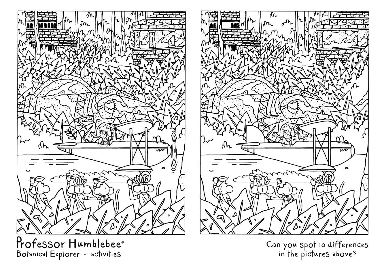 Activity sheets