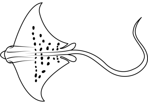 Spotted eagle ray aetobatus narinari coloring page free printable coloring pages