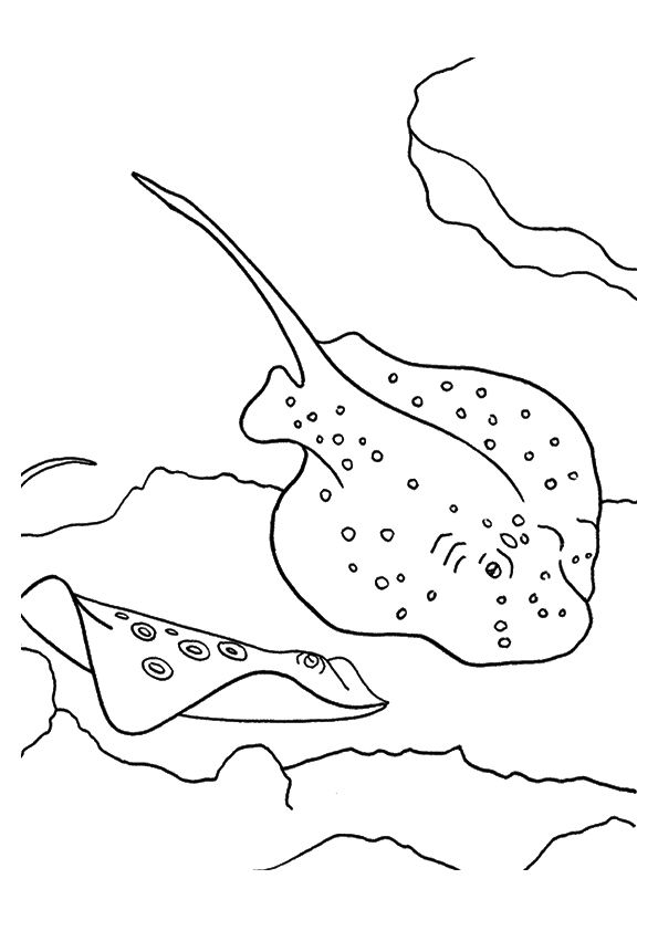 Spotted eagle ray coloring page coloring pages coloring pages inspirational poppy coloring page
