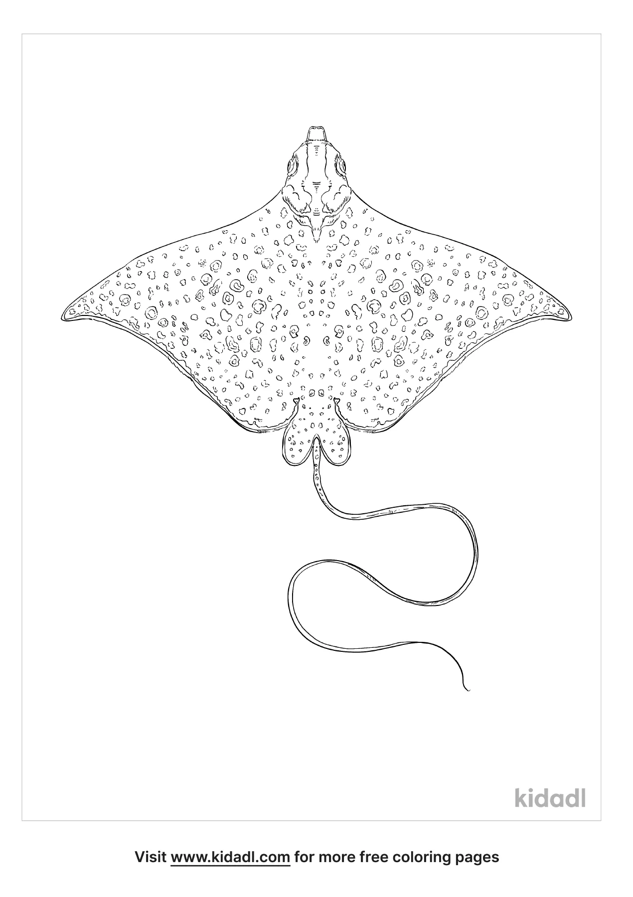 Free eagle ray coloring page coloring page printables