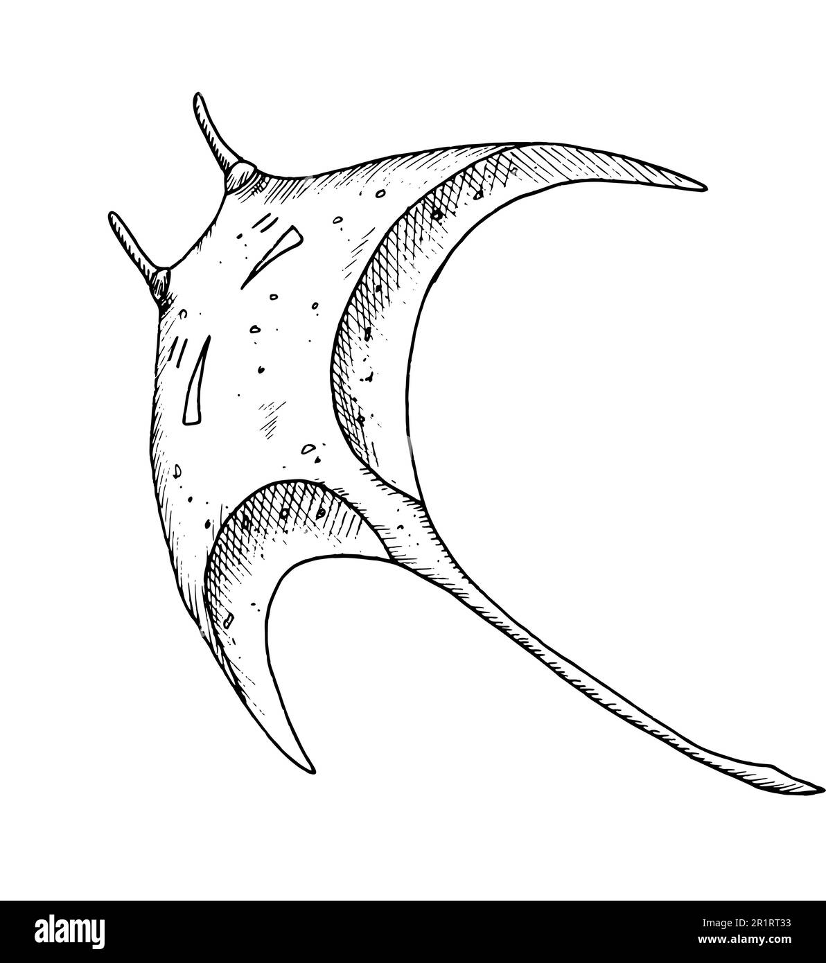 Ray fish hand drawn vector illustration of stingray on isolated background drawing of manta in outline style painted by black inks for icon or logo engraving of undersea animal for nautical design