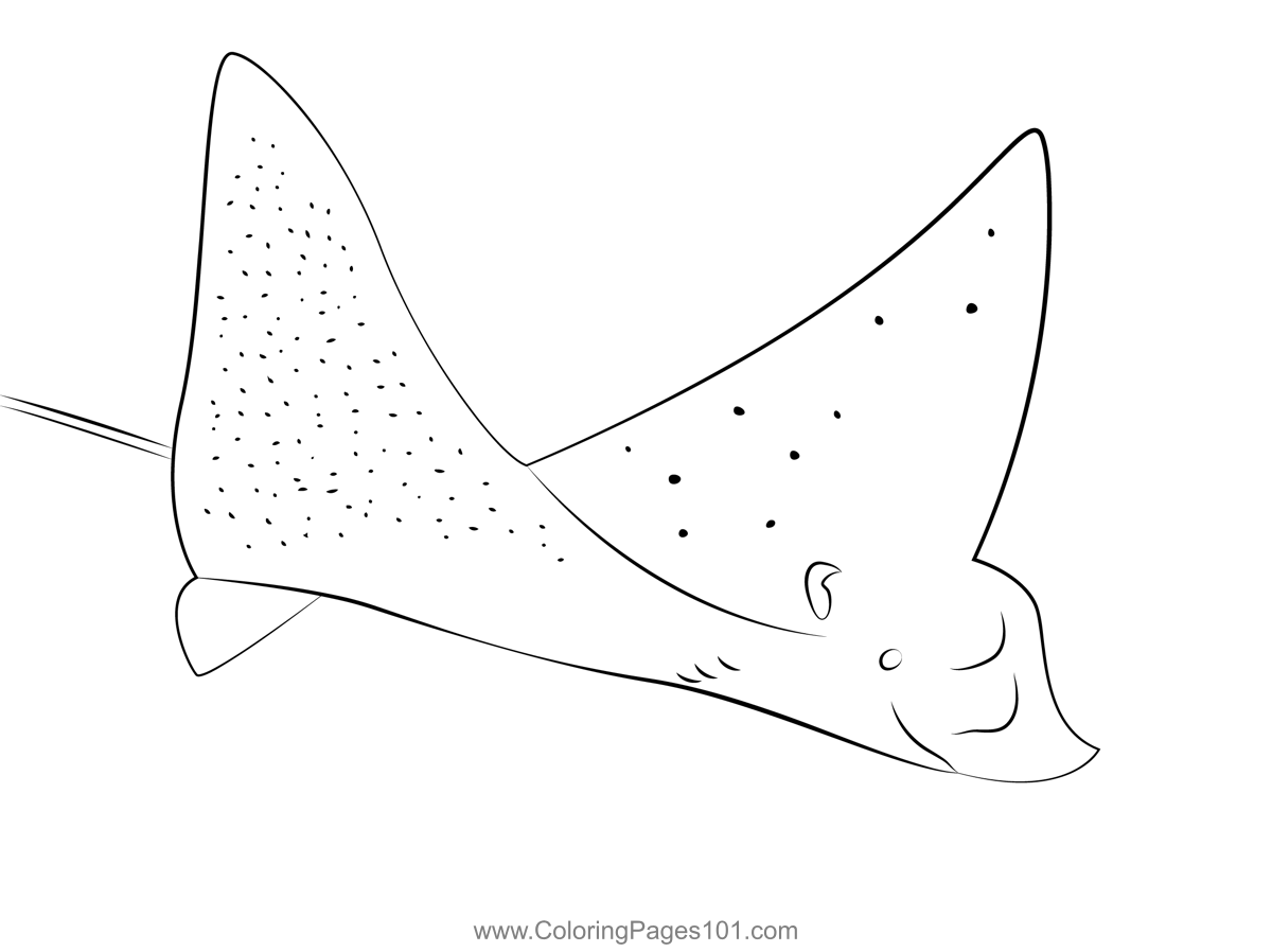 Eagle ray closeup coloring page for kids