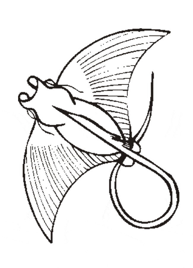 Manta ray coloring page