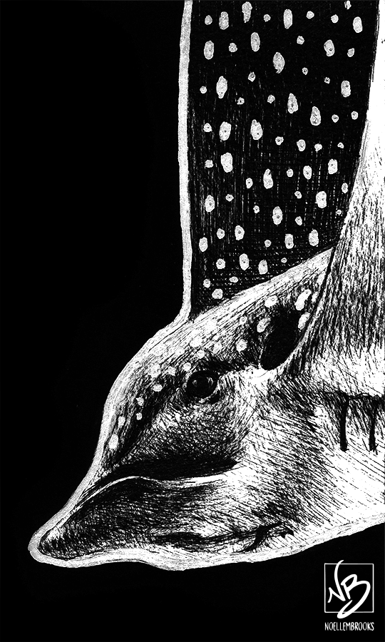 Original ânarinariâ spotted eagle ray â noelle m brooks