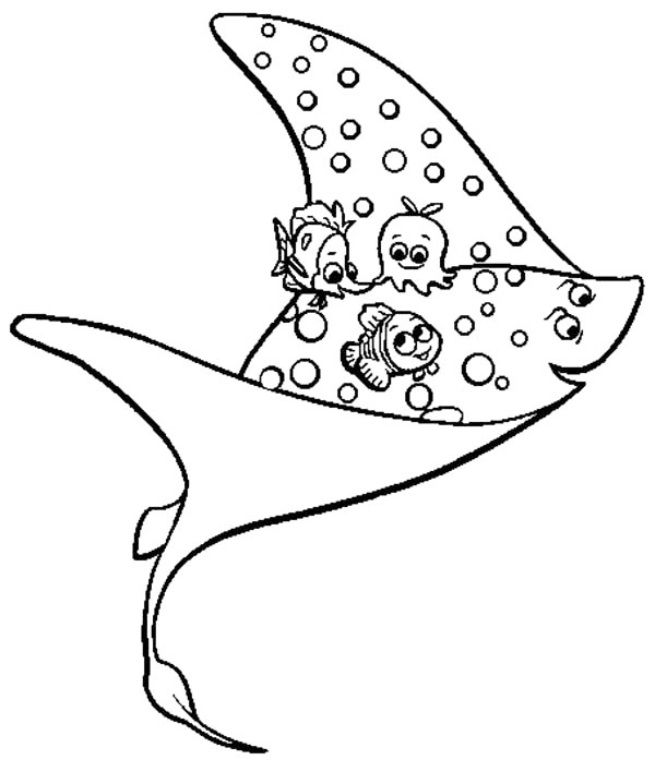 Manta ray coloring pages