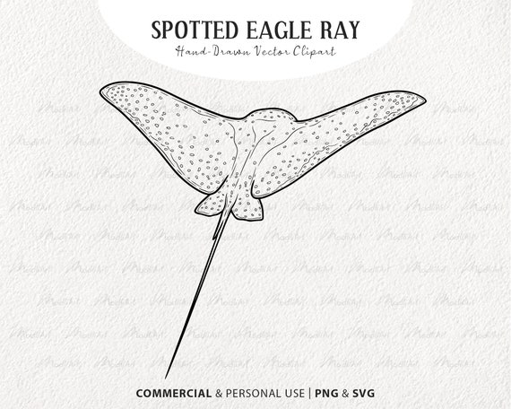 Spotted eagle ray vector clipart stingray fish svg illustration shark art print manta ray ocean animal line art mercial use svg png