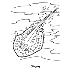 Top free printable stingray coloring pages online