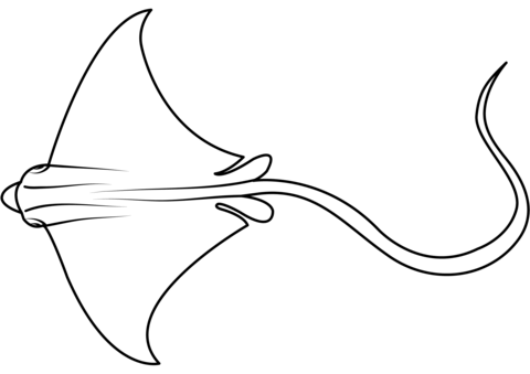 Spotted eagle ray aetobatus narinari coloring page free printable coloring pages