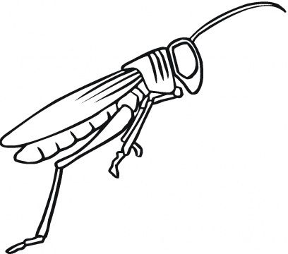 Grasshoppers coloring pages supercoloring free printable coloring pages coloring pages printable coloring pages