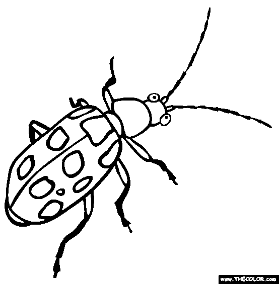 Newest coloring pages
