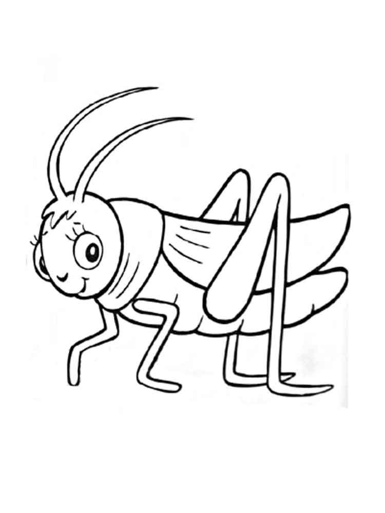 Grasshopper coloring pages ð ðñðºñðñðºð ñ ððððñðñðð ð ðñðºñðñðºð ð ðññðððº ðñðñ
