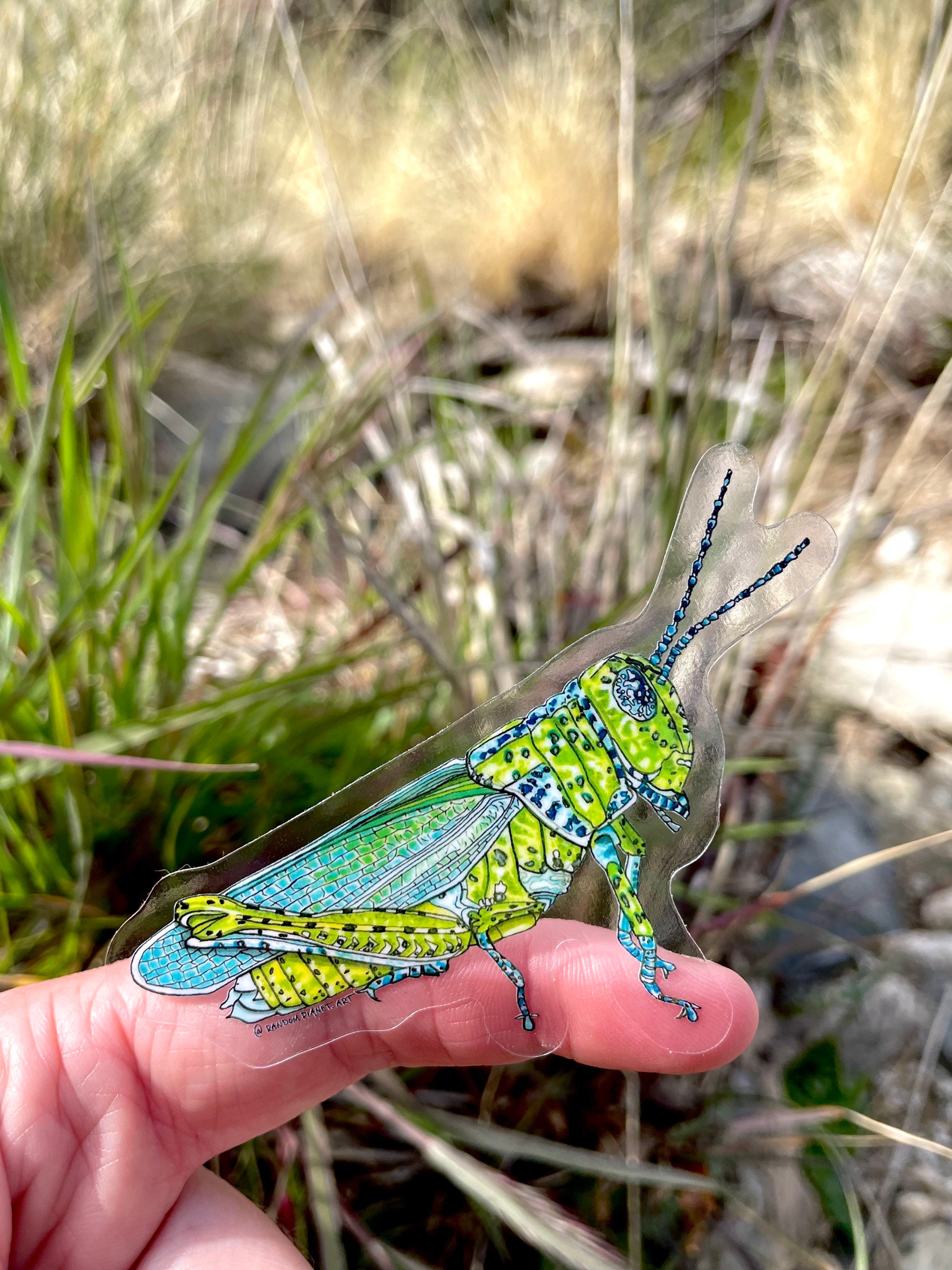 Panther spotted grasshopper sticker