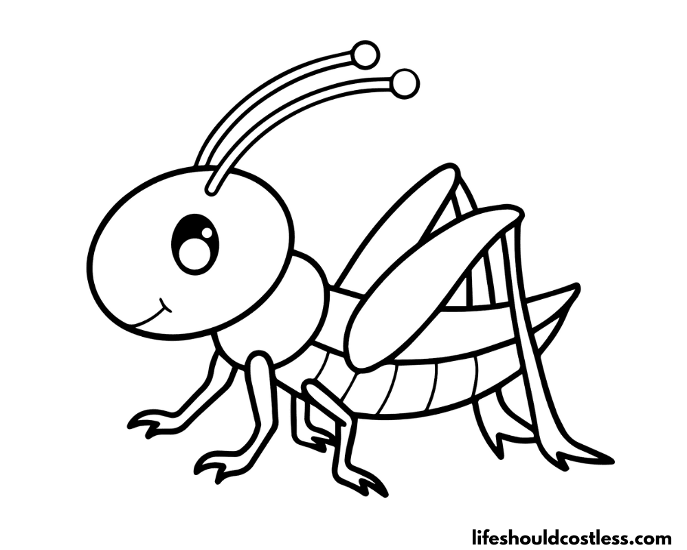 Grasshopper coloring pages free printable pdf templates