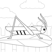 Grasshoppers coloring pages free coloring pages