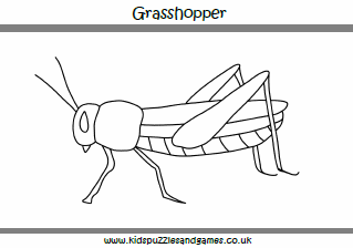 Grasshoppers