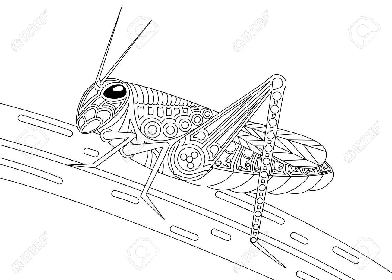 Monochrome grasshopper coloring page black over white royalty free svg cliparts vectors and stock illustration image