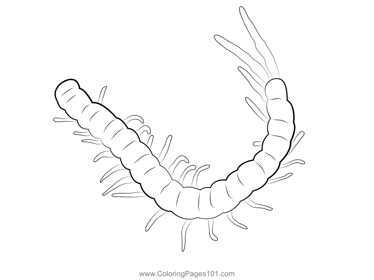 Centipede coloring page coloring pages printable coloring pages printable coloring