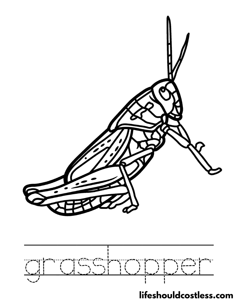 Grasshopper coloring pages free printable pdf templates