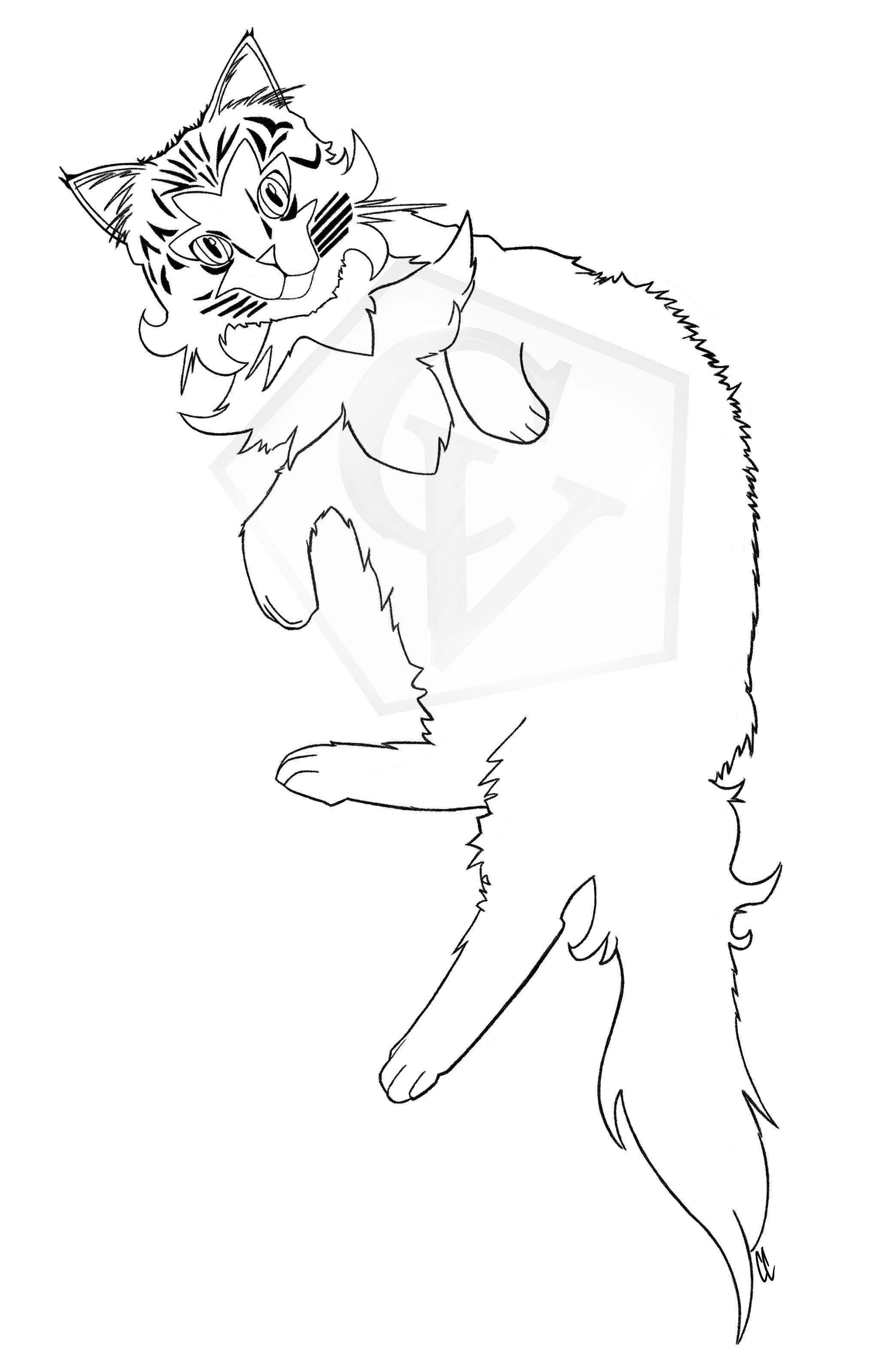 Sprigatito real by me rpokemon