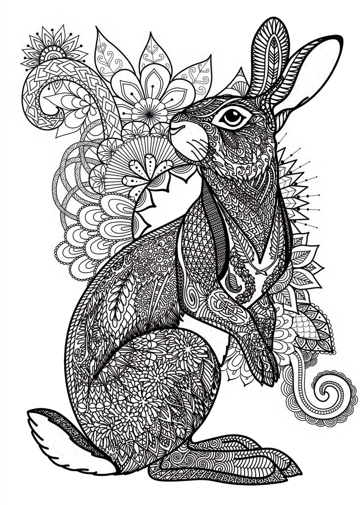 Hello spring coloring book for adults digital â monsoon publishing usa
