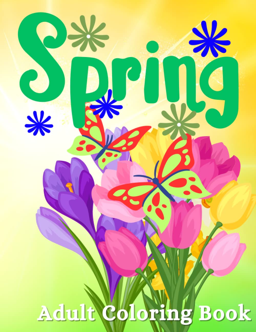 Large print spring adult coloring book over simple beautiful bold and easy to follow spring