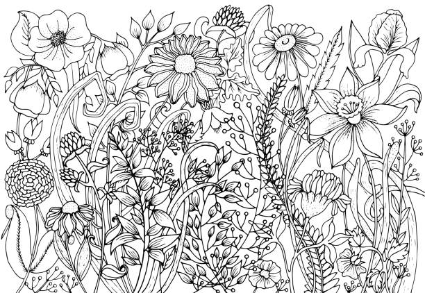Adult coloring pages spring stock photos pictures royalty