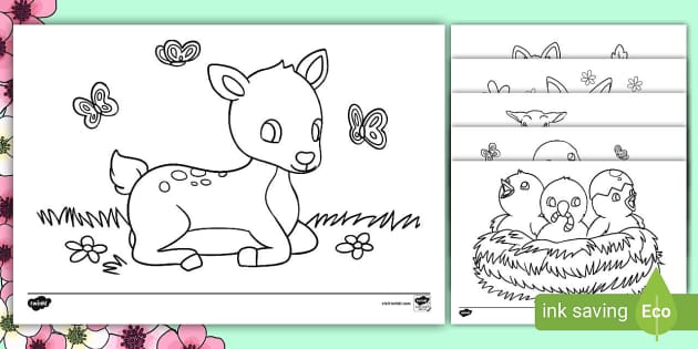 Baby animals born in spring louring pack teacher made