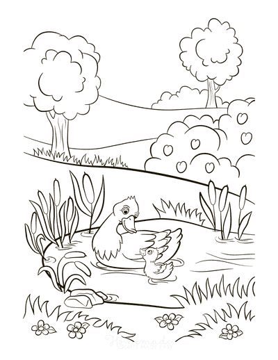Free printable spring coloring pages for kids adults spring coloring pages animal coloring pages camping coloring pages
