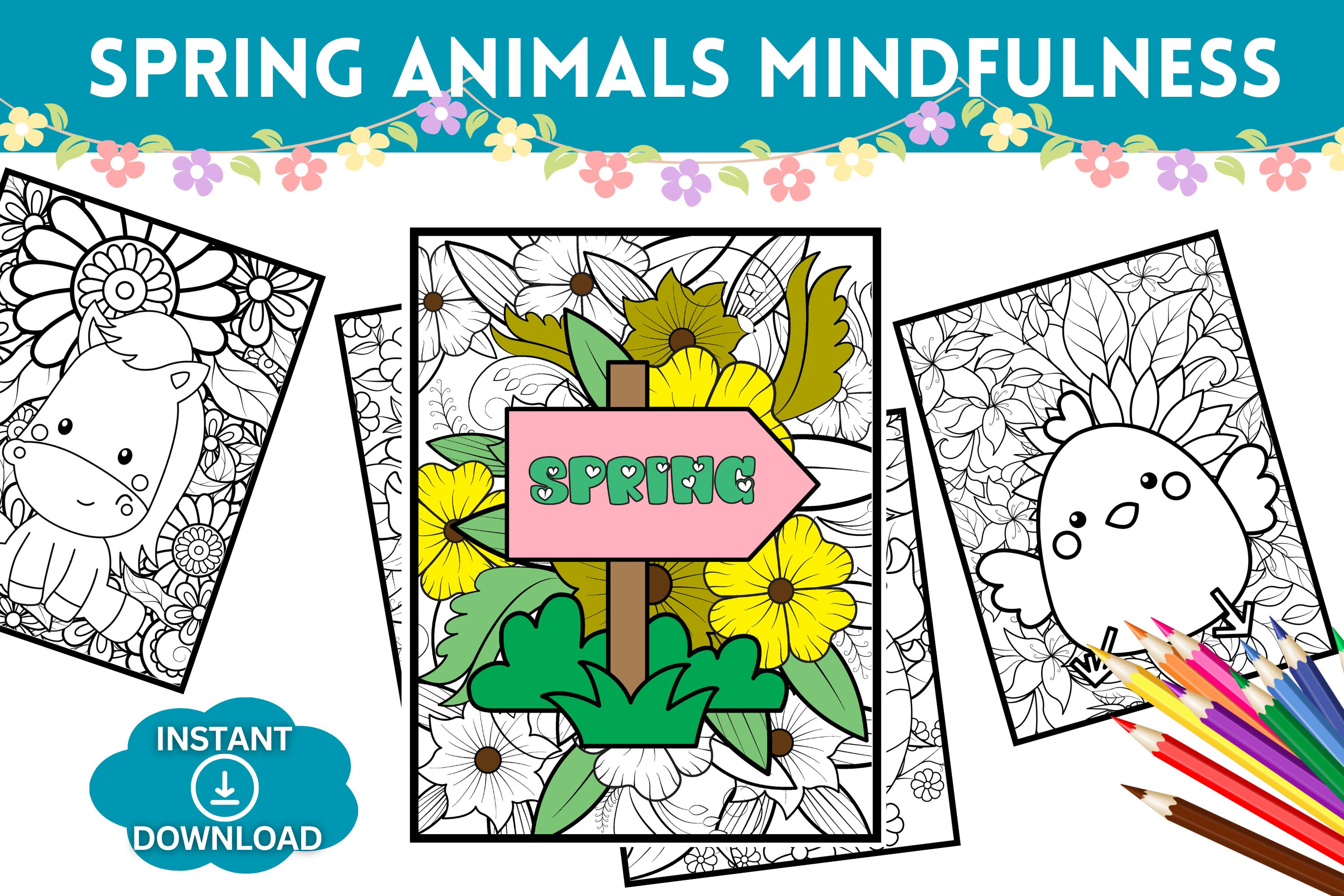 Spring animals mindfulness coloring pages teaching resources
