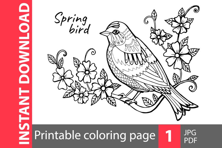 Spring bird coloring page