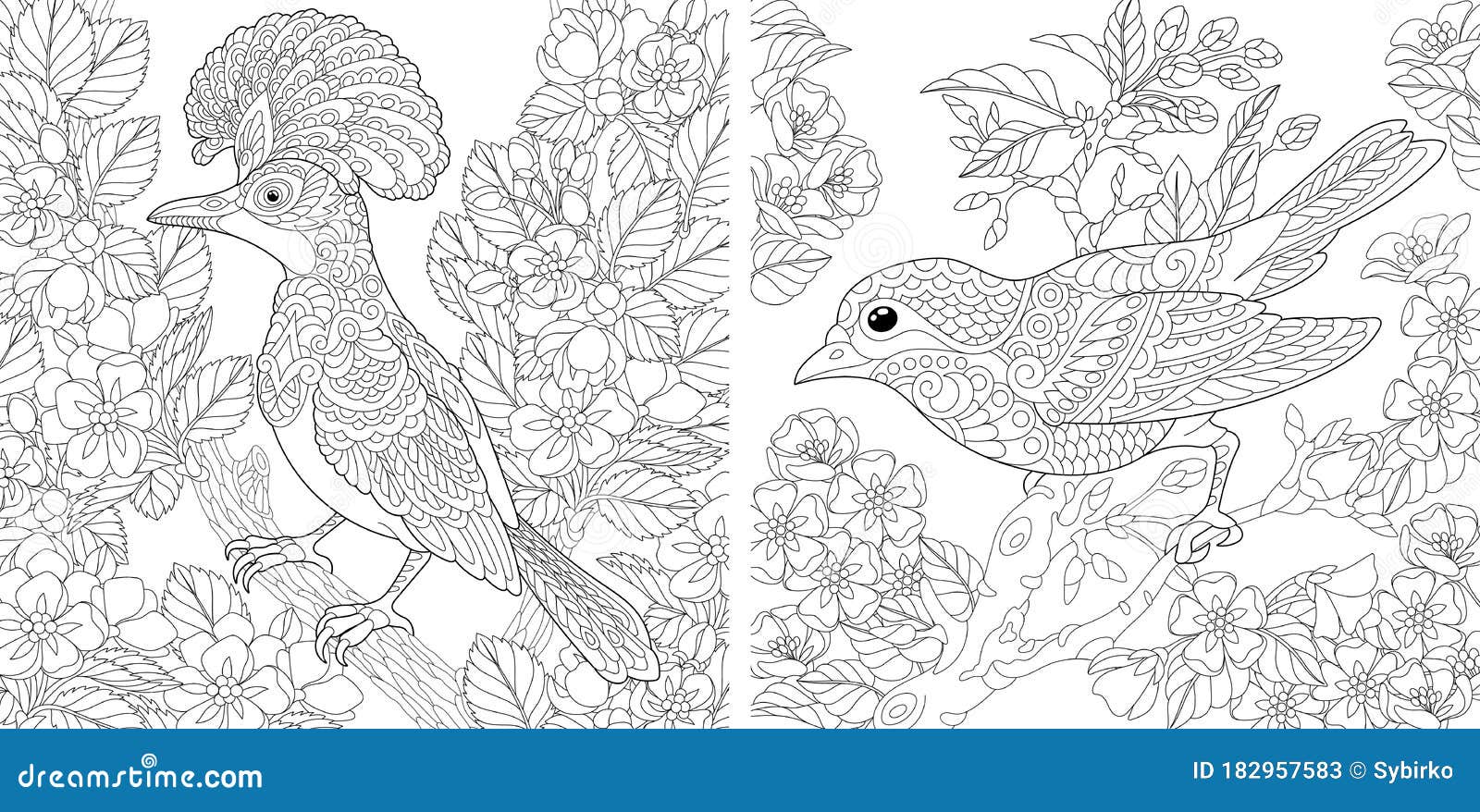 Coloring pages with birds in floral garden stock vector